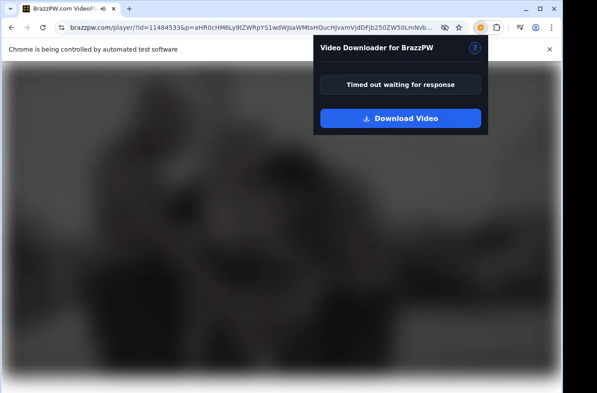 Brazzpw Video Downloader screenshot 2