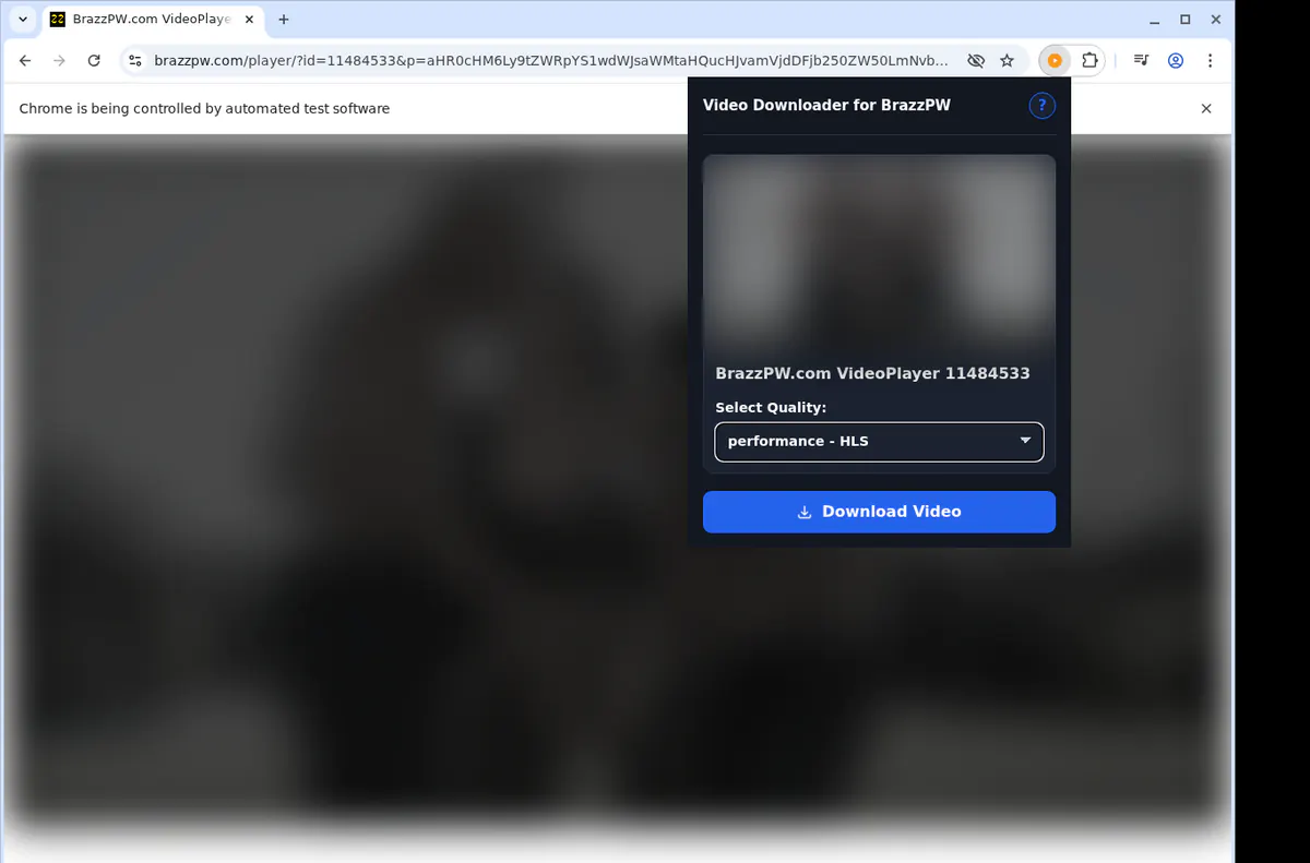 Brazzpw Video Downloader screenshot 3