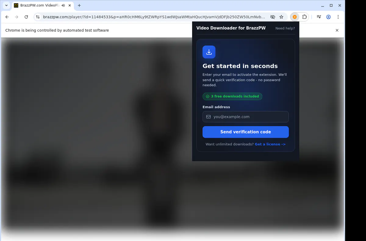 Brazzpw Video Downloader screenshot 5